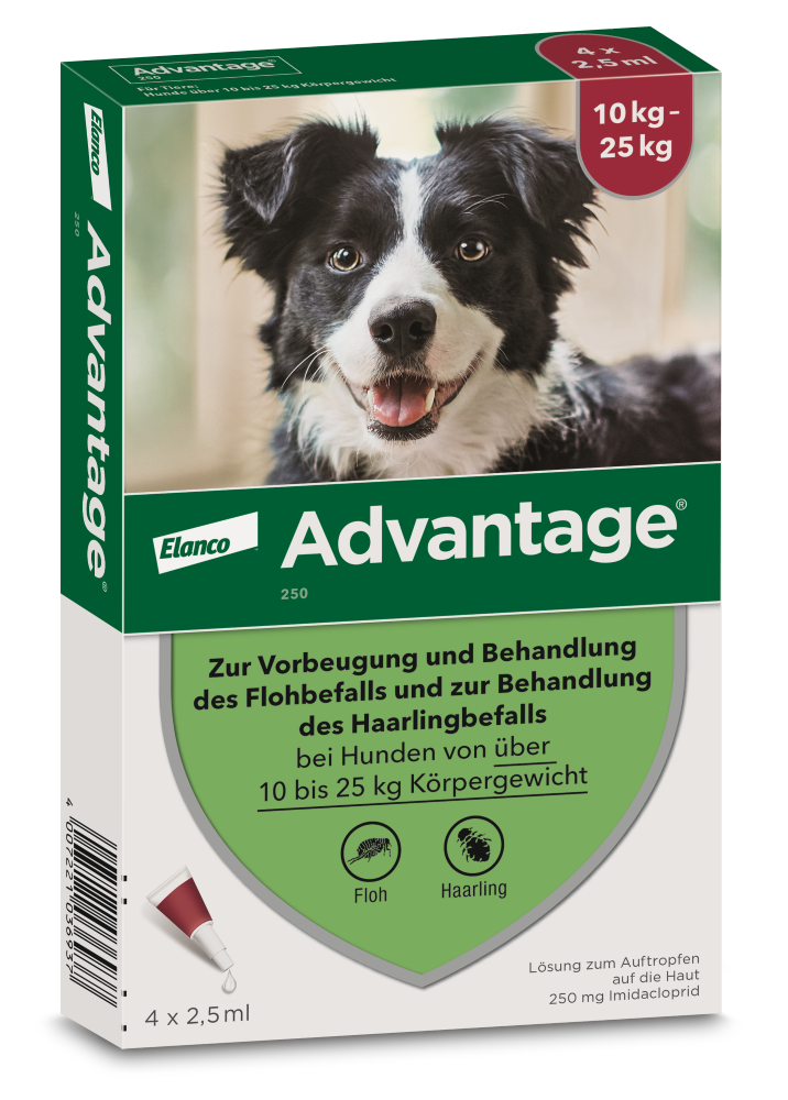 Advantage 250 für Hunde von 10 - 25 kg