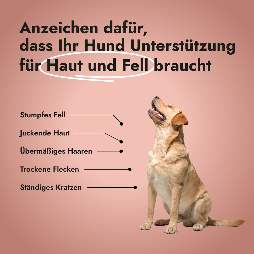 Super Skin & Coat für Hunde