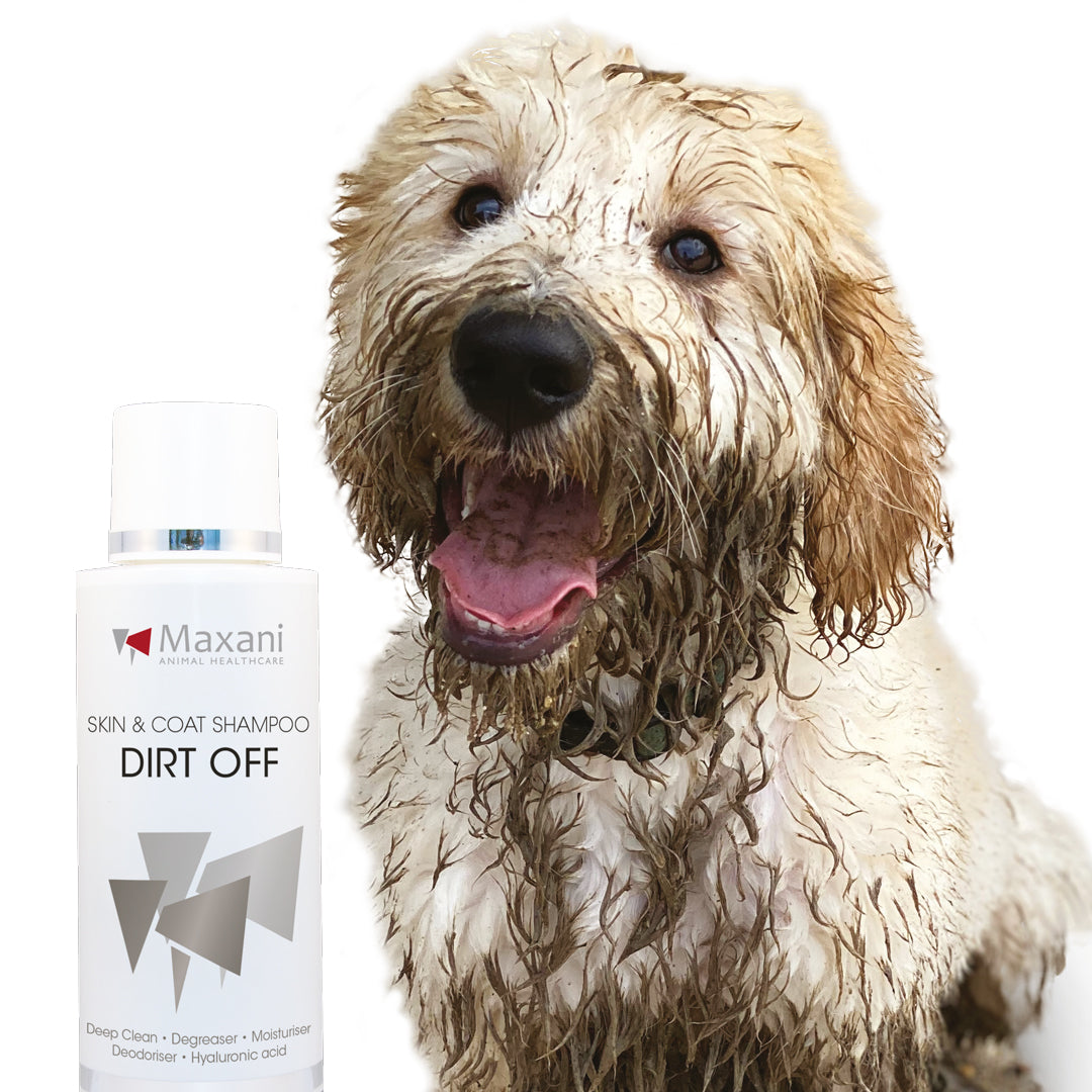 Dirt Off Skin & Coat Shampoo
