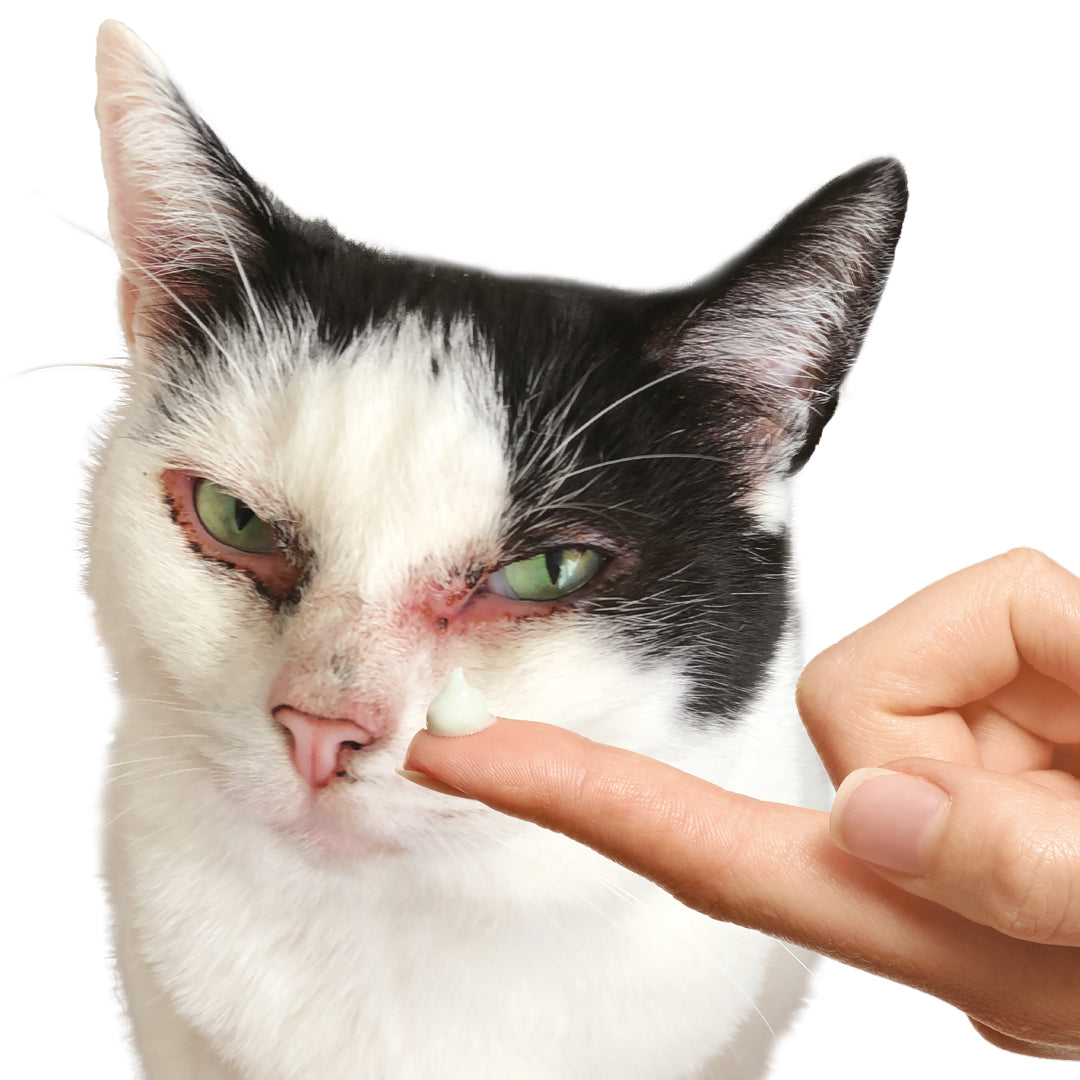 Hautcreme für die Augen