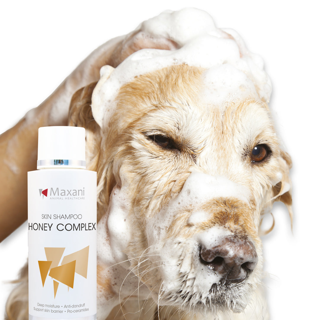 Honig-Komplex-Hautshampoo