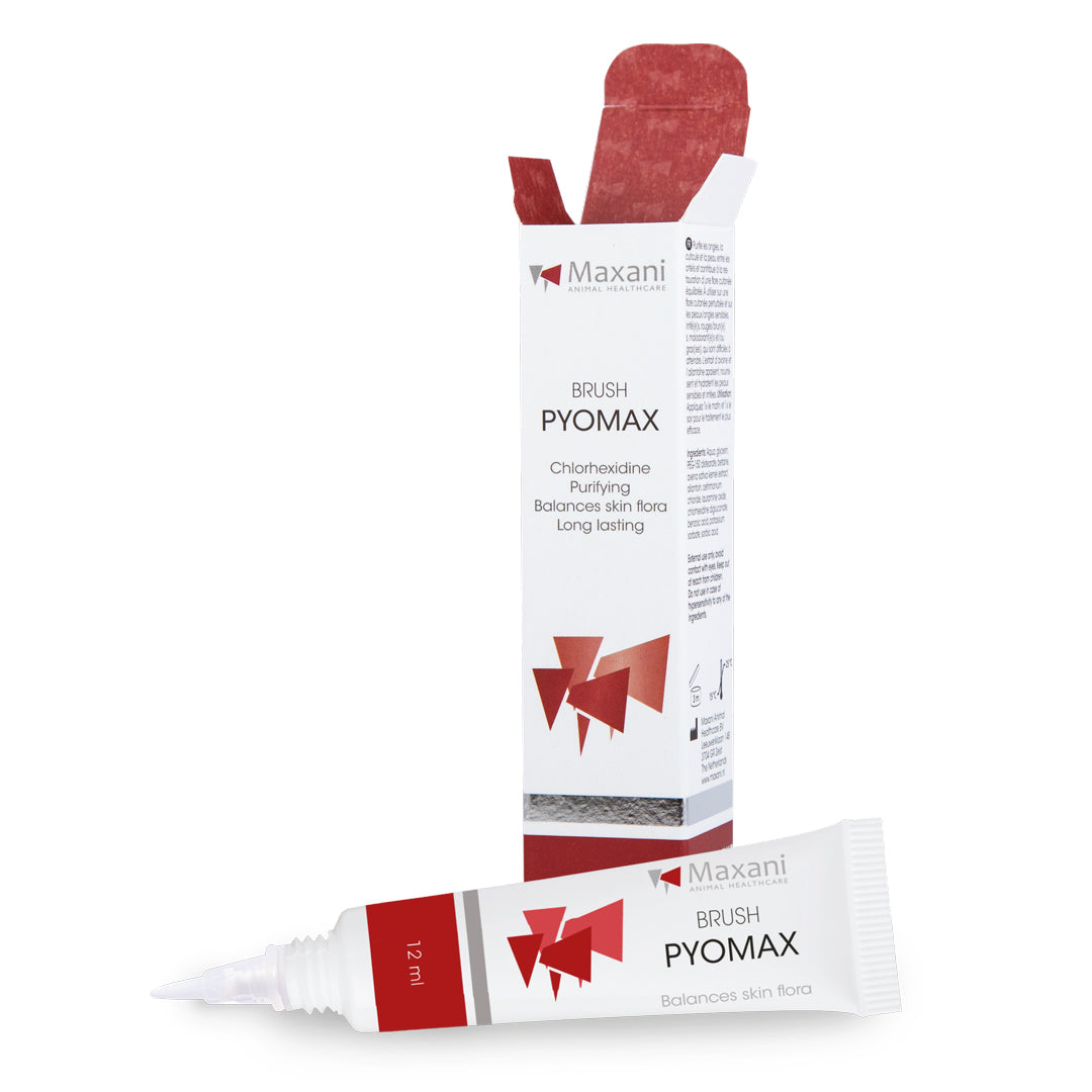PyoMax-Bürste
