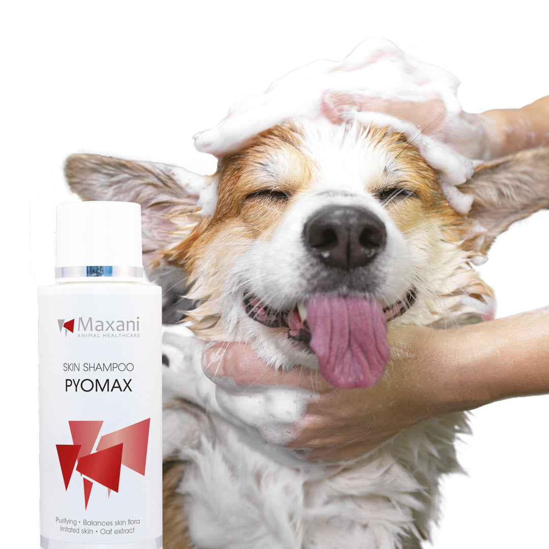 PyoMax Hautshampoo