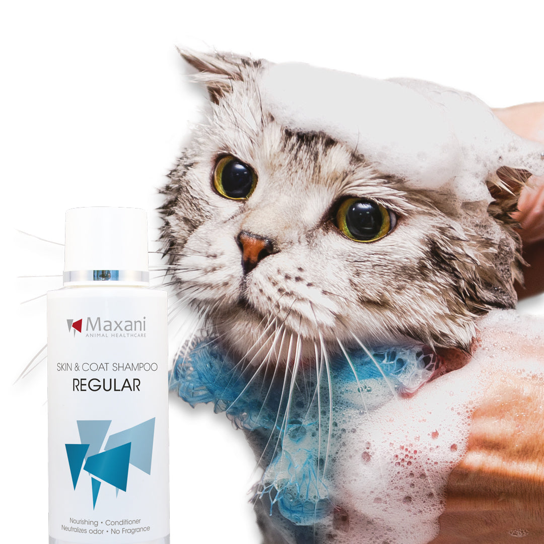 Shampoo für Haut und Fell mit Conditioner