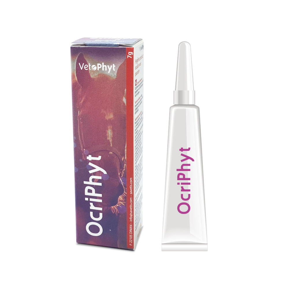OcriPhyt Augencreme für Pferde