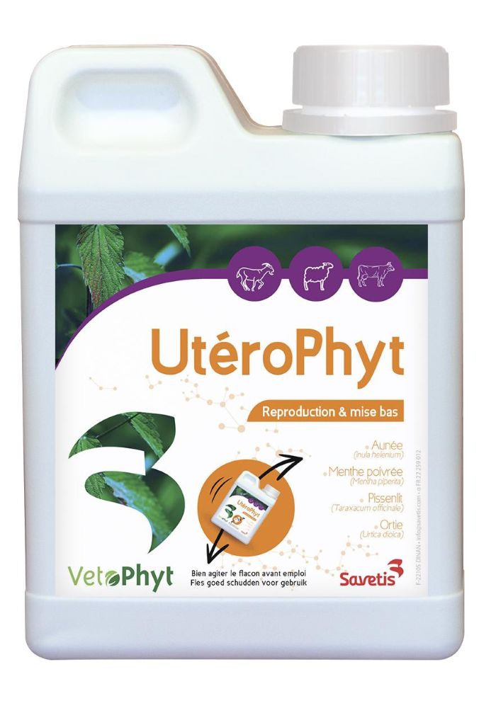 UteroPhyt für Kühe, Schafe und Ziegen