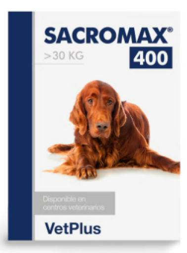 Sacromax 400 - für die Lebergesundheit bei großen Hunden