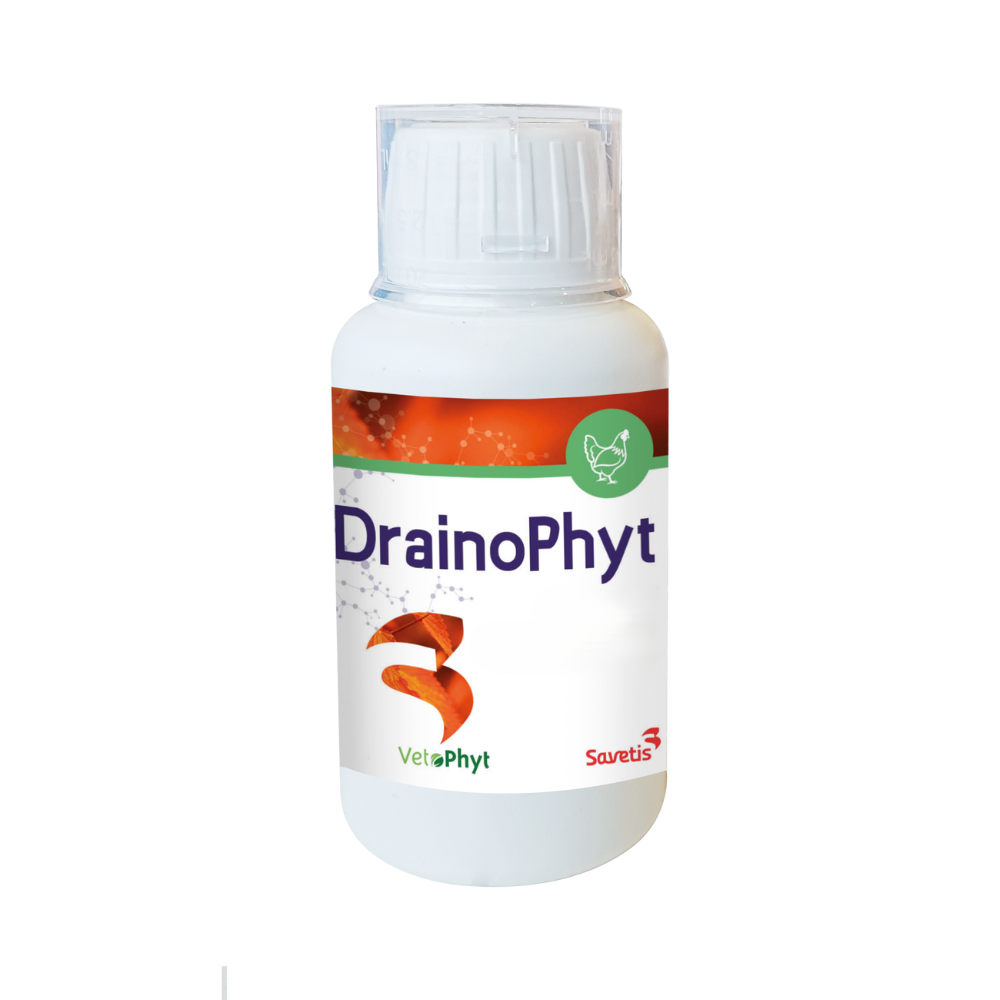 DrainoPhyt