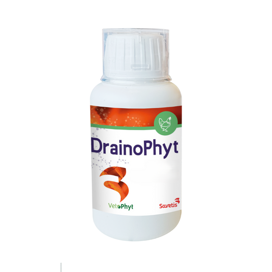 DrainoPhyt