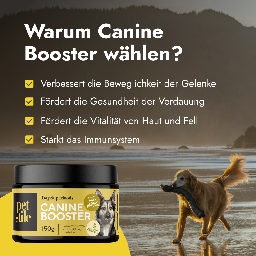 Canine Booster für Hunde