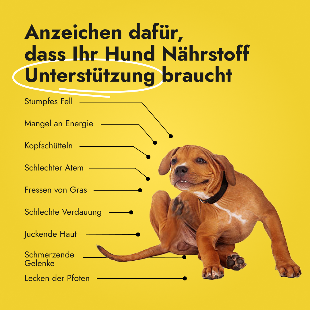 Canine Booster für Hunde