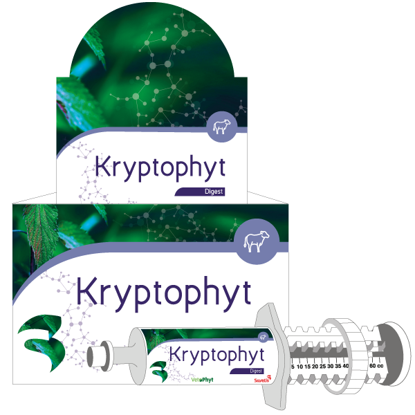 KryptoPhyt für Kälber