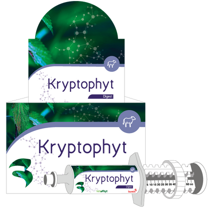 KryptoPhyt für Kälber