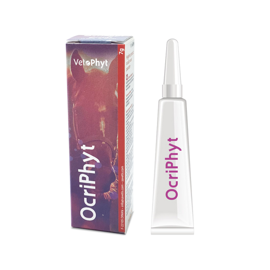 OcriPhyt Augencreme für Pferde