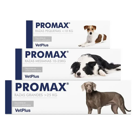 Promax Small Breed - zur Unterstützung einer gesunden Verdauung