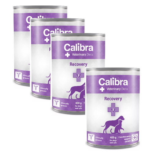 Recover me! Hund&Katz 4er-Bundle