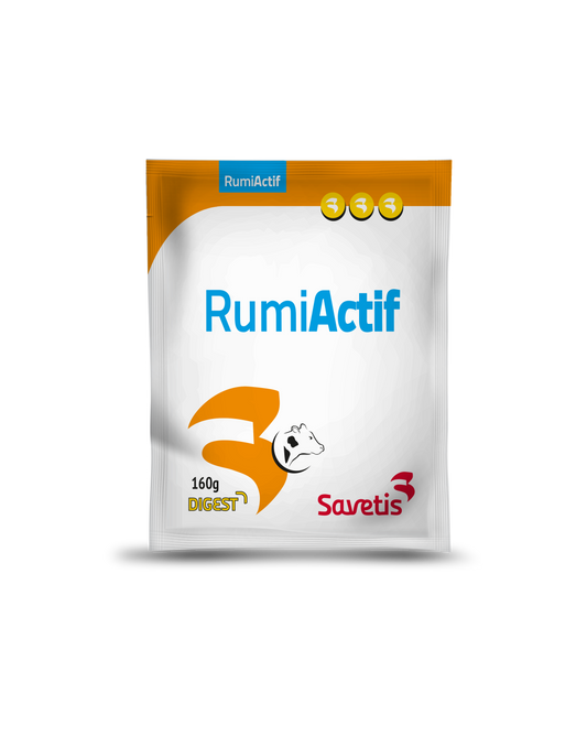 Rumi Actif