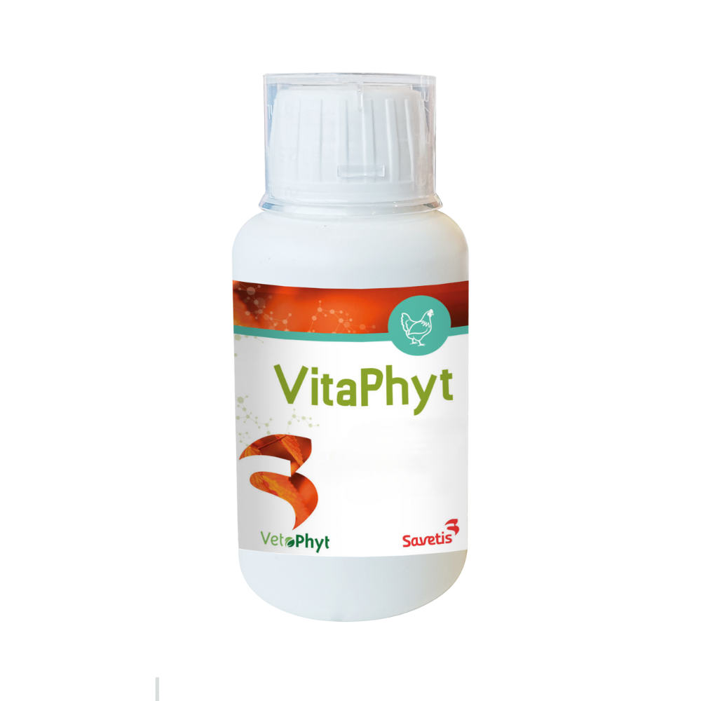 VitaPhyt