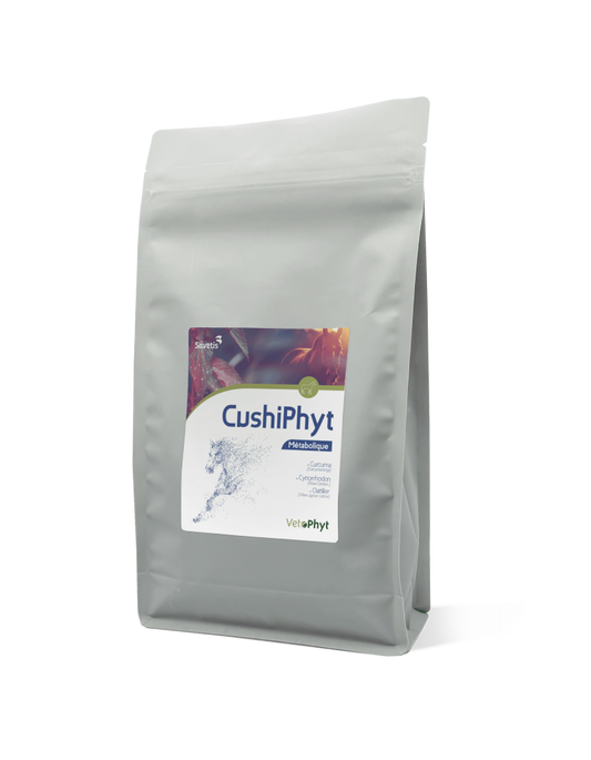 CushiPhyt für Pferde