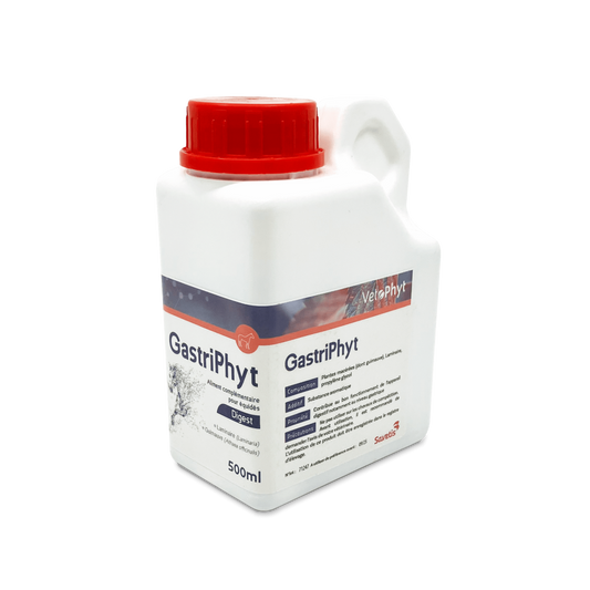 GastriPhyt für Pferde
