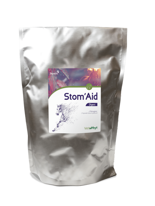 StomAid für Equiden