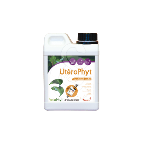 UteroPhyt für Kühe, Schafe und Ziegen