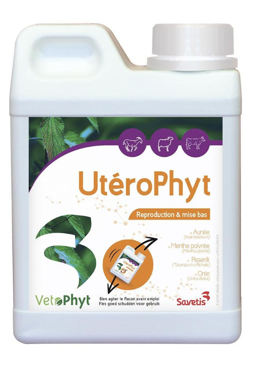 UteroPhyt für Kühe, Schafe und Ziegen